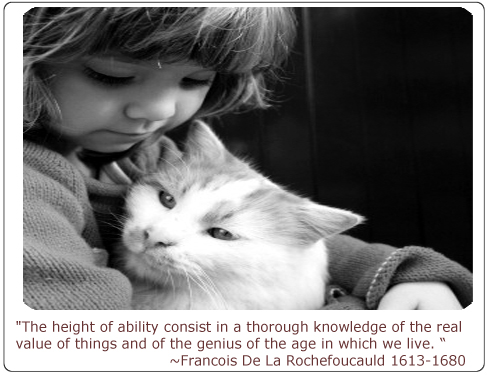 pet celebrant ceremonies